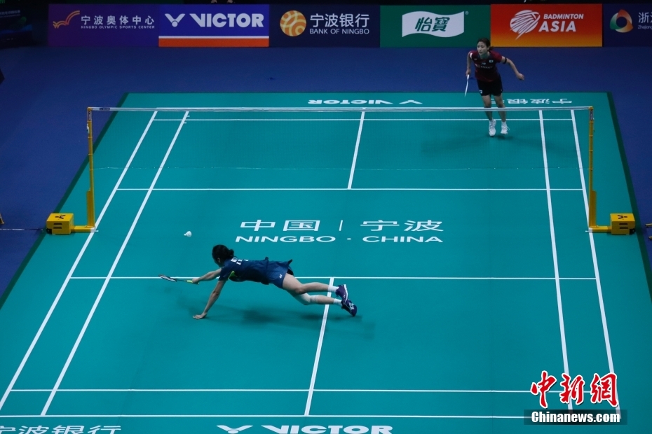 的皇家社会 的皇家社会