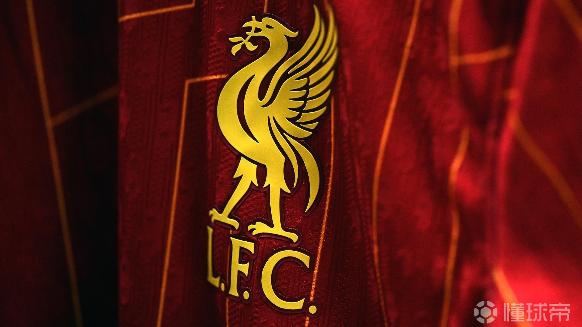 例如強化弱 例如強化弱